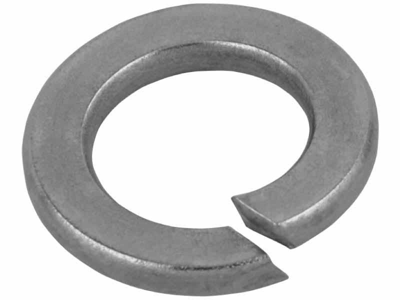 Spring Washer 100m Spring Washer - Stainless Steel