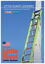 Little Giant Ladders 2021