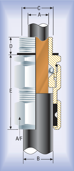 CCG-VariTex-VSD-Glands-319